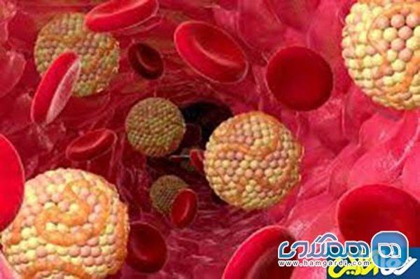 راههای افزایش کلسترول خوب راههای افزایش کلسترول خوب