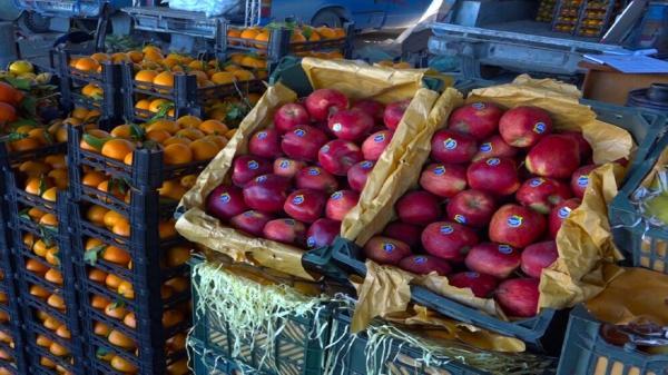 142 غرفه در استان سمنان سیب و پرتقال به نرخ تنظیم بازار عرضه می کنند
