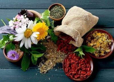 چند تصور اشتباه درباره دارو های گیاهی